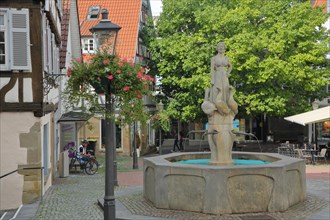 Goose fountain with sculpture woman with goose figures