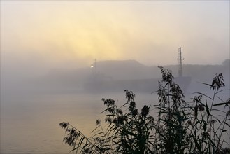 Cargo ship in fog in the Kiel Canal