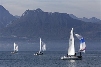 Sailboats on Lake Garda