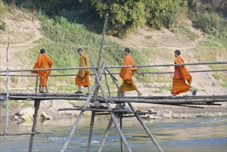 A group of young buddhist monks walking on a bamboo bridge across the Nam Khan river