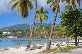 Tourists on white sandy beach with palm trees along Druif Bay at Water Island