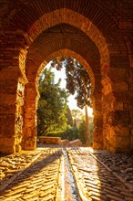 Sunset at the gate of the wall and the gardens of the Alcazaba in the city of Malaga