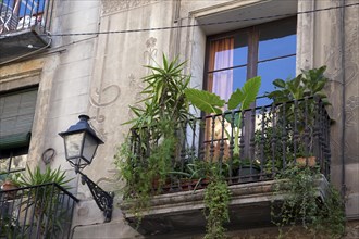 Balcony garden with palms in the Barri Gotic