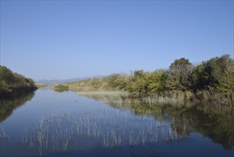Canal in S'Albufera nature park Park
