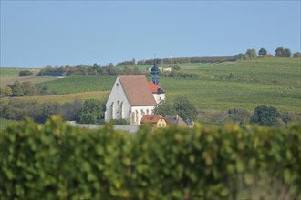 View of pilgrimage church Maria im Weingarten