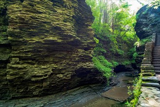 Watkins Glen State Park: Gorge Trail entrance and tunnel