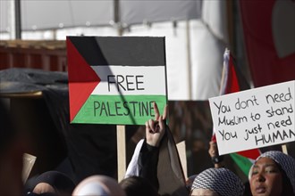 Free Palestine sign