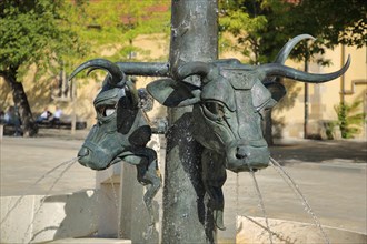 Ox fountain by Gunther Stilling with sculptures bull heads