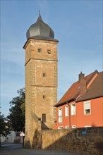 Historic owl tower on the town wall