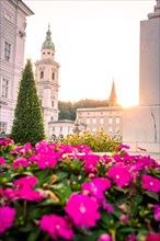 Cathedral with flowers at sunset
