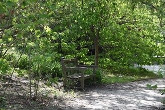 Spring at Snug Harbor Cultural Center and Botanical Garden