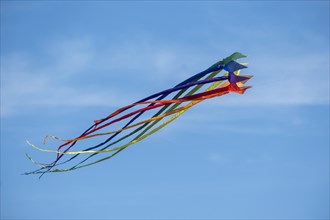 Kites at the Kite Festival