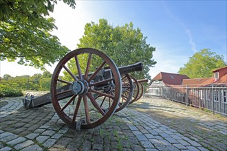 Two historic cannons with wagon wheels in the courtyard of the castle