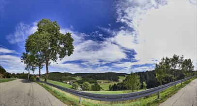 230 degree panorama of a park strip with landscape near Furtwangen in the Black Forest