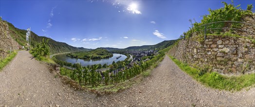 View from the vineyards of the Moselle bend near Bremm