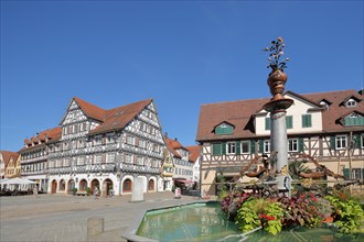 Market place with market fountain and half-timbered house Palmsche Apotheke