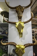 Decorated buffalo heads