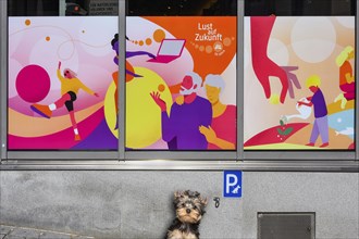 Colourful posters with dog park