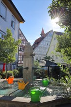 Fountain at the Zehnthof with four watering cans shining against the light