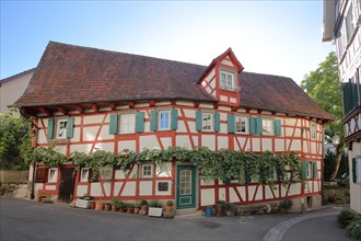 Historic half-timbered house with vine and shutters in Roemmelgasse