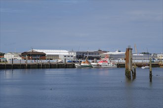 Buildings and ships at the harbour