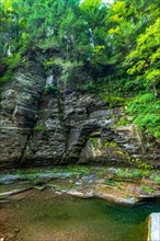 Robert H. Treman State Park: Gorge Trail. Tompkins County