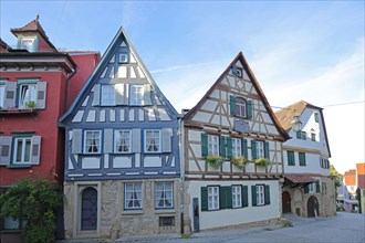 Blue half-timbered houses and Schiller's birthplace with green shutters