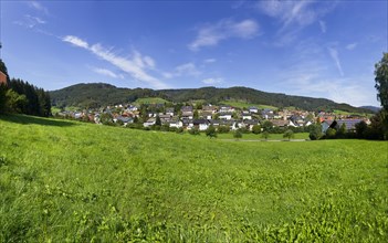 Landscape in the Black Forest with a view of Hofstetten