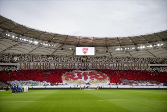 Choreography 130 years VfB Stuttgart