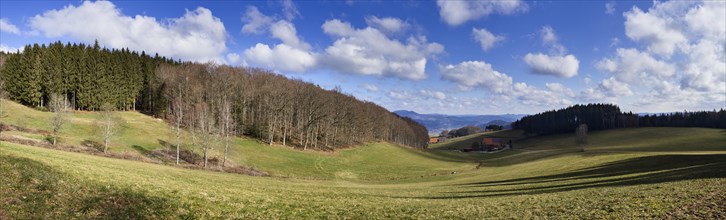 Panorama of a Black Forest landscape with a view into the Kinzigtal valley near Hofstetten