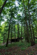 Robert H. Treman State Park: Camping area cabins. Tompkins County
