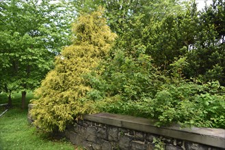 Spring at Snug Harbor Cultural Center and Botanical Garden