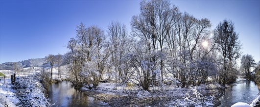 Winter trees on the Elz river in Winden im Elztal