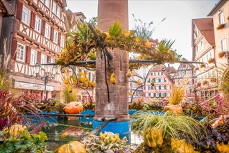 Decorated autumn fountain in front of the town hall in half-timbered town