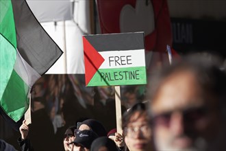 Free Palestine sign