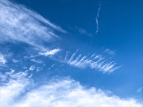 White clouds Veil clouds Feather clouds Cirrostratus on blue in front of blue sky