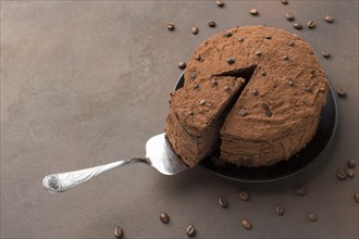 High angle chocolate cake with cocoa powder