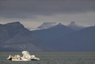 Iceberg and mountains