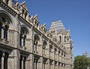 Natural History Museum or Museum of Natural History