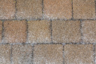 Nuanced tan and brownish paving stones covered with layer of ice