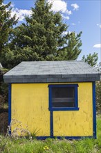Yellow painted plywood sheet with blue trim and grey asphalt shingles roof storage shed