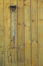 Antique pitchfork displayed on wood plank wall