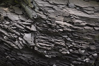 Dark grey fragmented metamorphic rock
