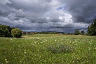 Gently rolling meadow in late summer with cloudy sky