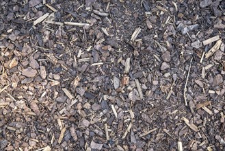 Bark mulch as texture or background