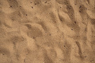 Dry sand with footprints as texture or background