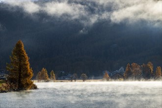Backlight with fog at Lake Sils