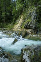 Rapids in the river Ammer near Bad Kohlgrub. Bavaria