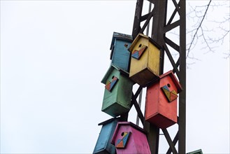Birdhouses hanging from an old electricity pole