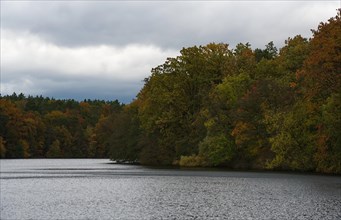Cloudy autumn at Lake Krumme Lanke